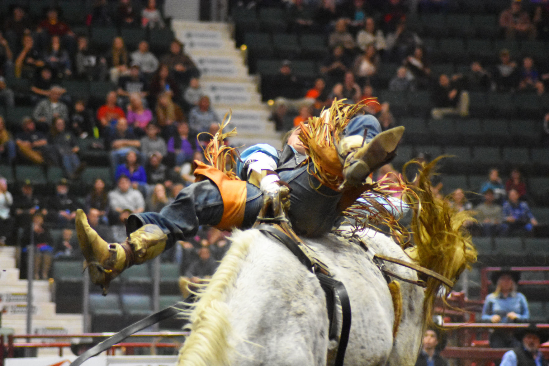 Adirondack Stampede Rodeo